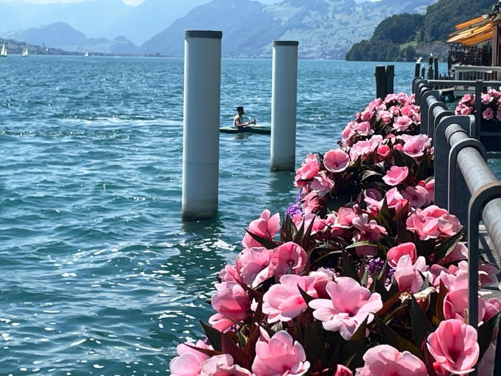 Seehotel Schwert Gersau Exteriör bild