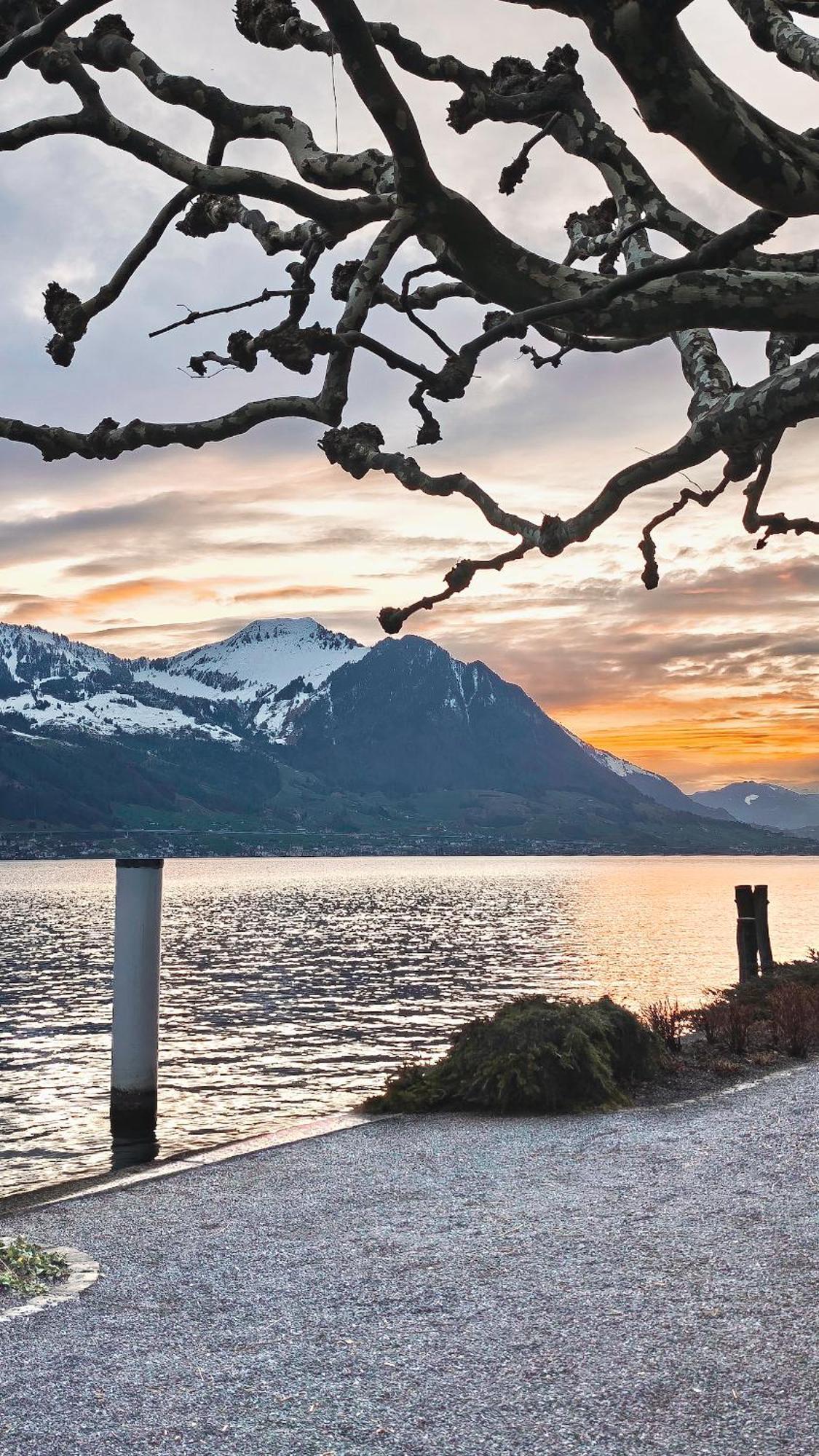 Seehotel Schwert Gersau Exteriör bild